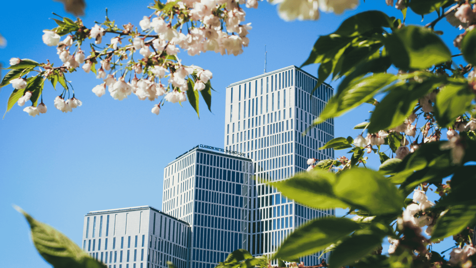 Clarion Malmo 3