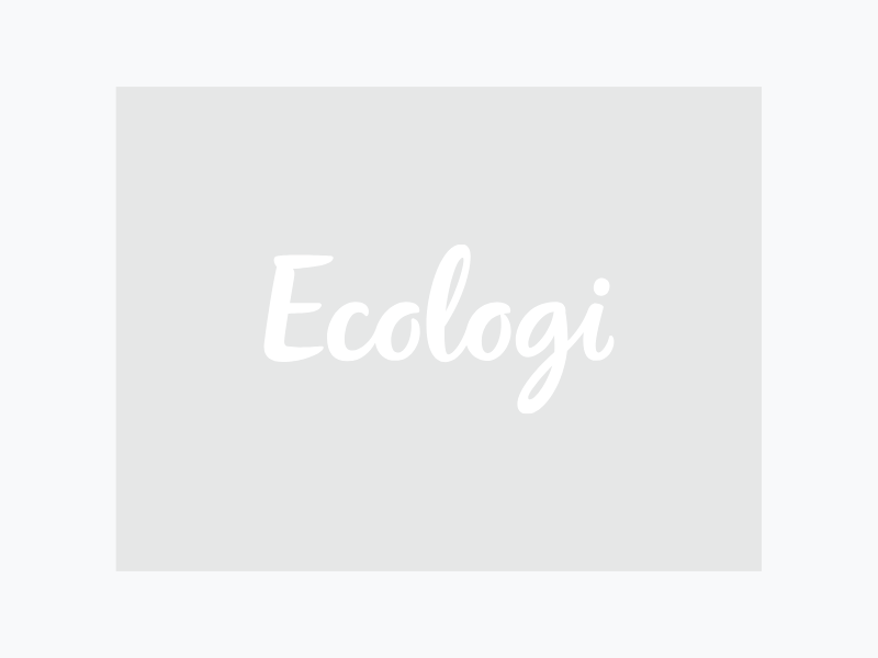 Ecologi logo 800 (1)
