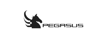 Logo - Pegasus