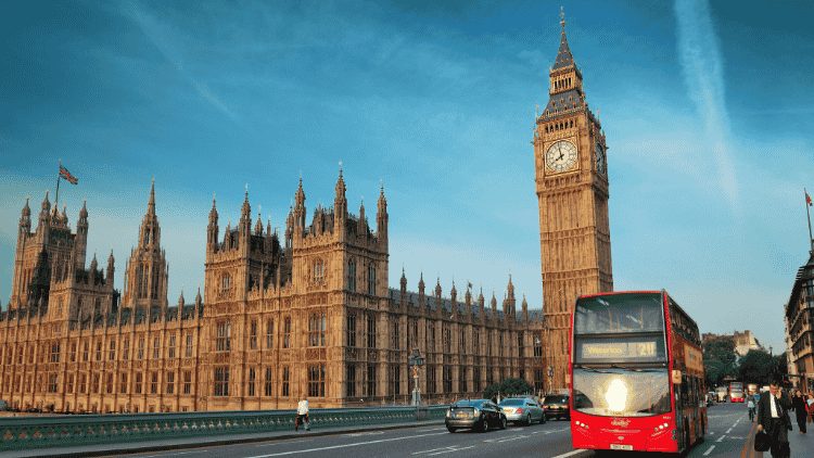 Untitled design (95)