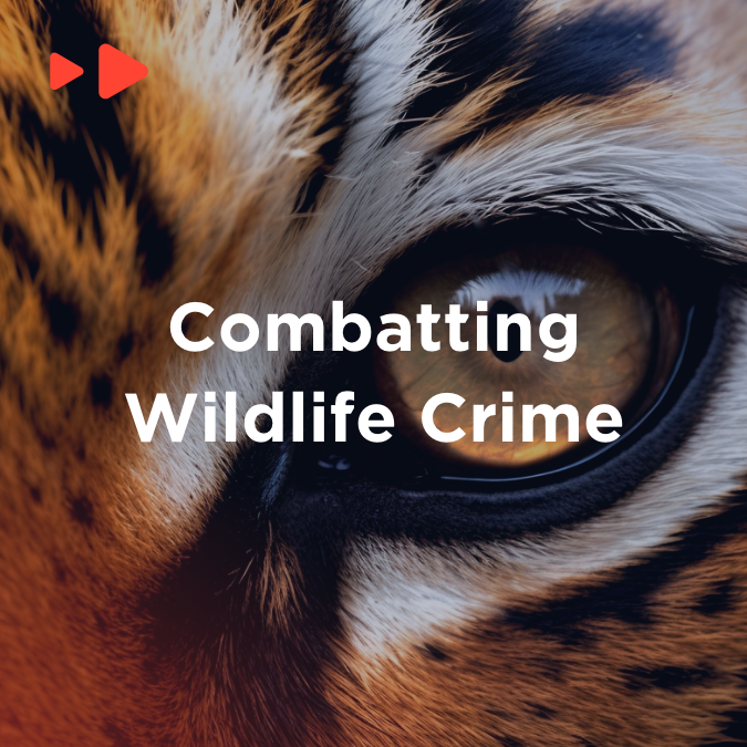 Use_Case_Wildlife_Crime_Carousel – square