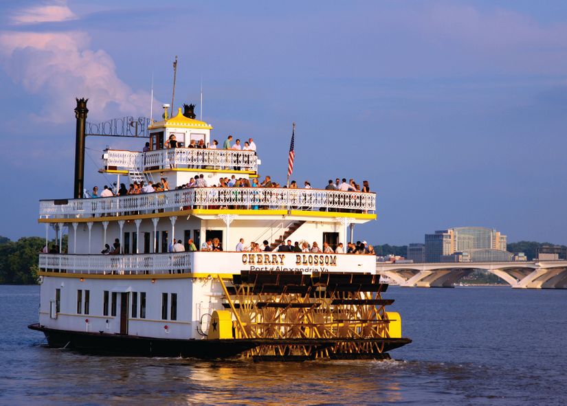 Cherry Blossom boat