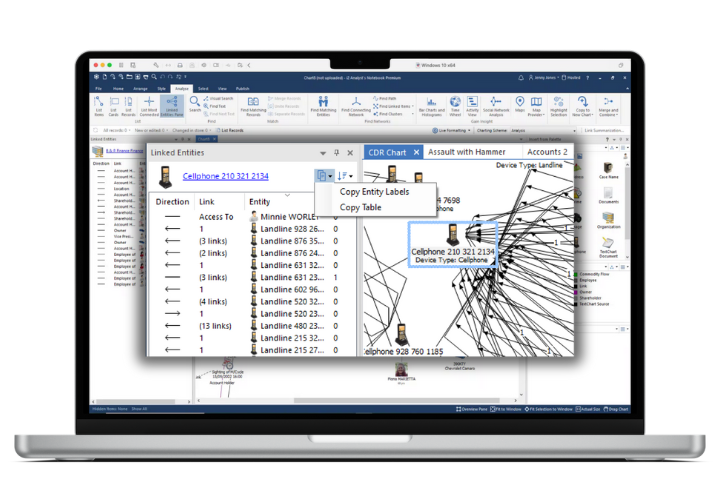 Linked Entities panel