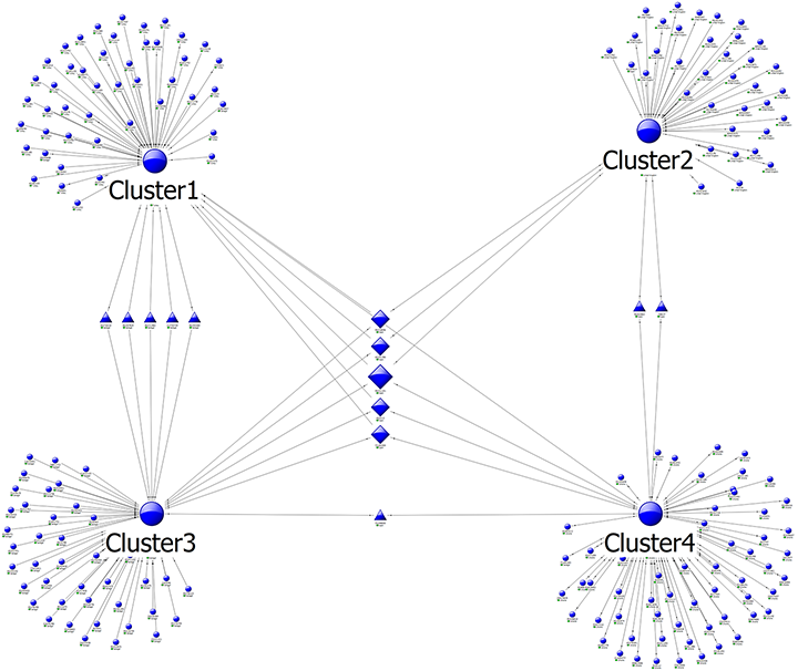 Link analysis graph showing clusters of entities.