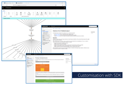 Customization with SDK